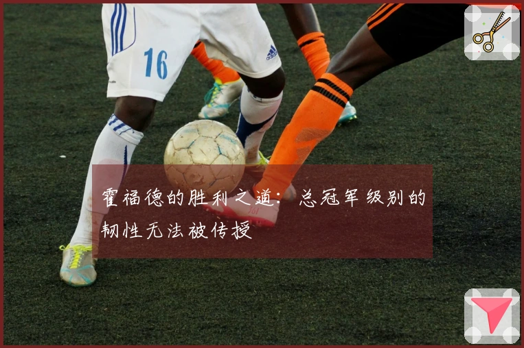 霍福德的胜利之道：总冠军级别的韧性无法被传授