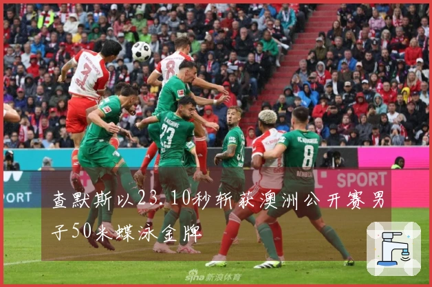 查默斯以23.10秒斩获澳洲公开赛男子50米蝶泳金牌
